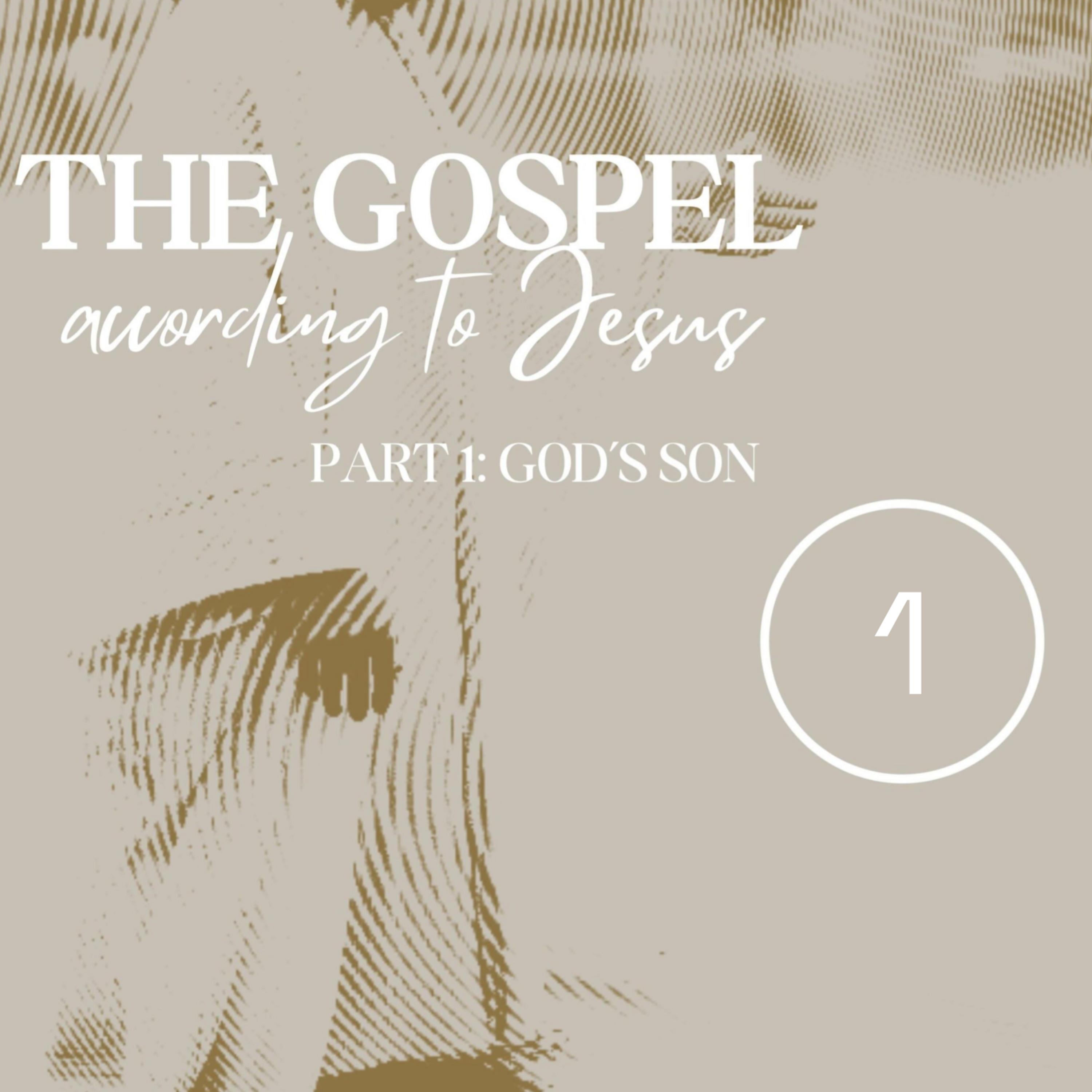 Jesus Is the Son of God, Part 1