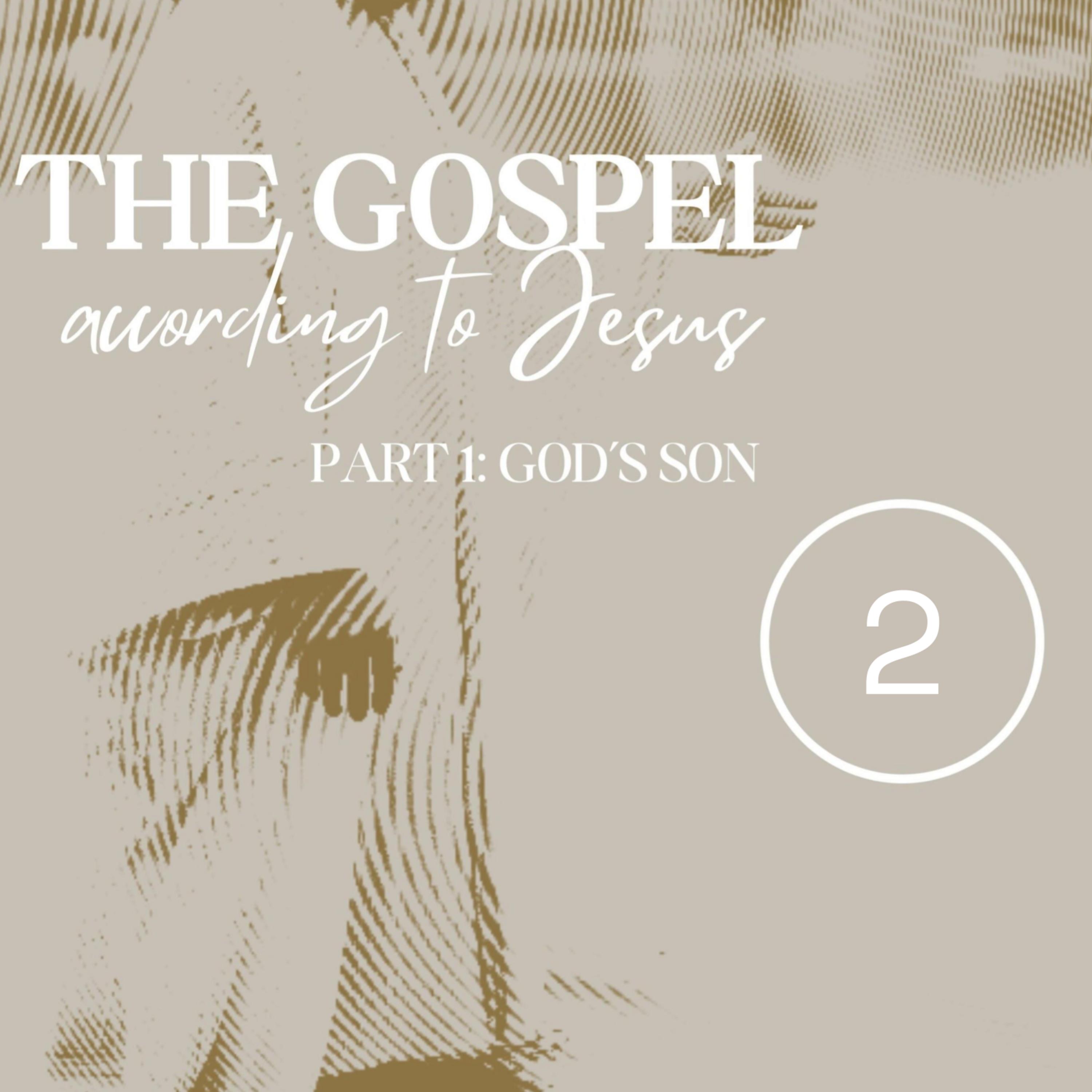 Jesus Is the Son of God, Part 2