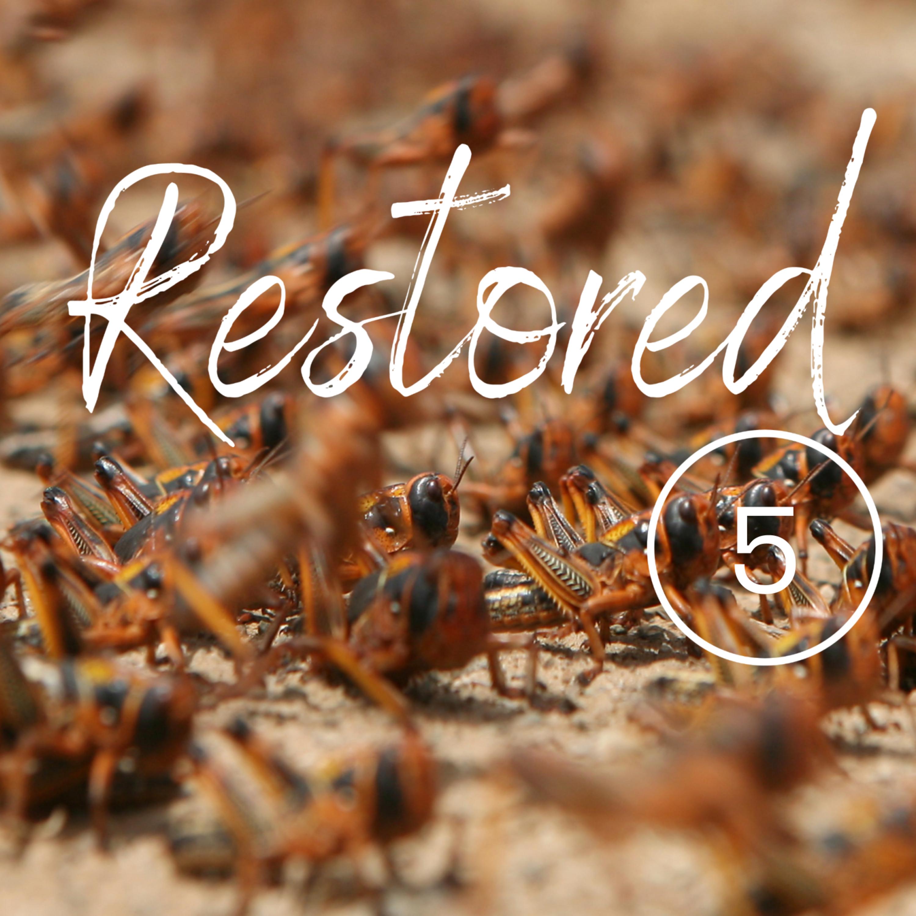 Listener Favourite 2025 : A Faith That Is More than Believing, Part 1