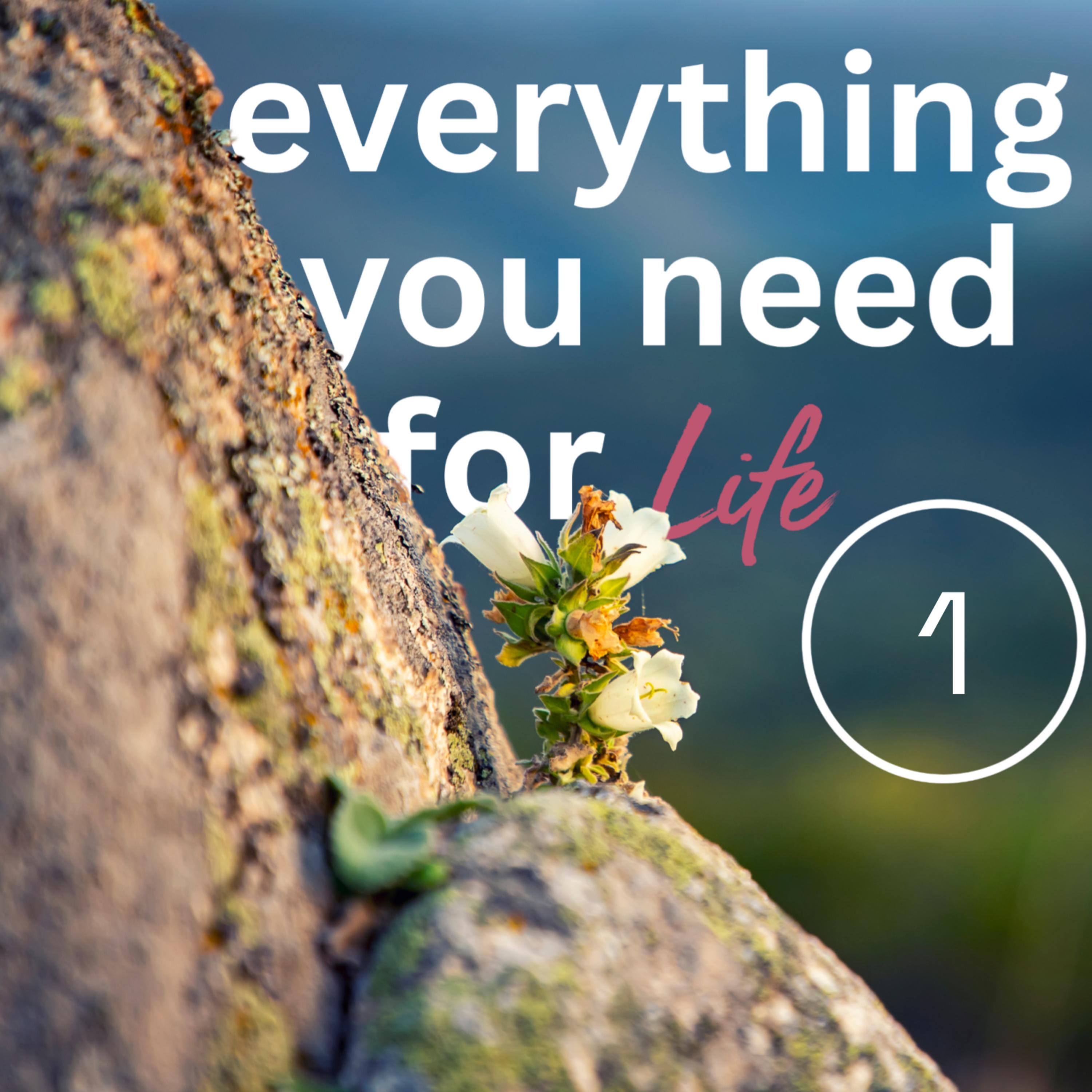 Everything You Need for Life, Part 1 episode artwork