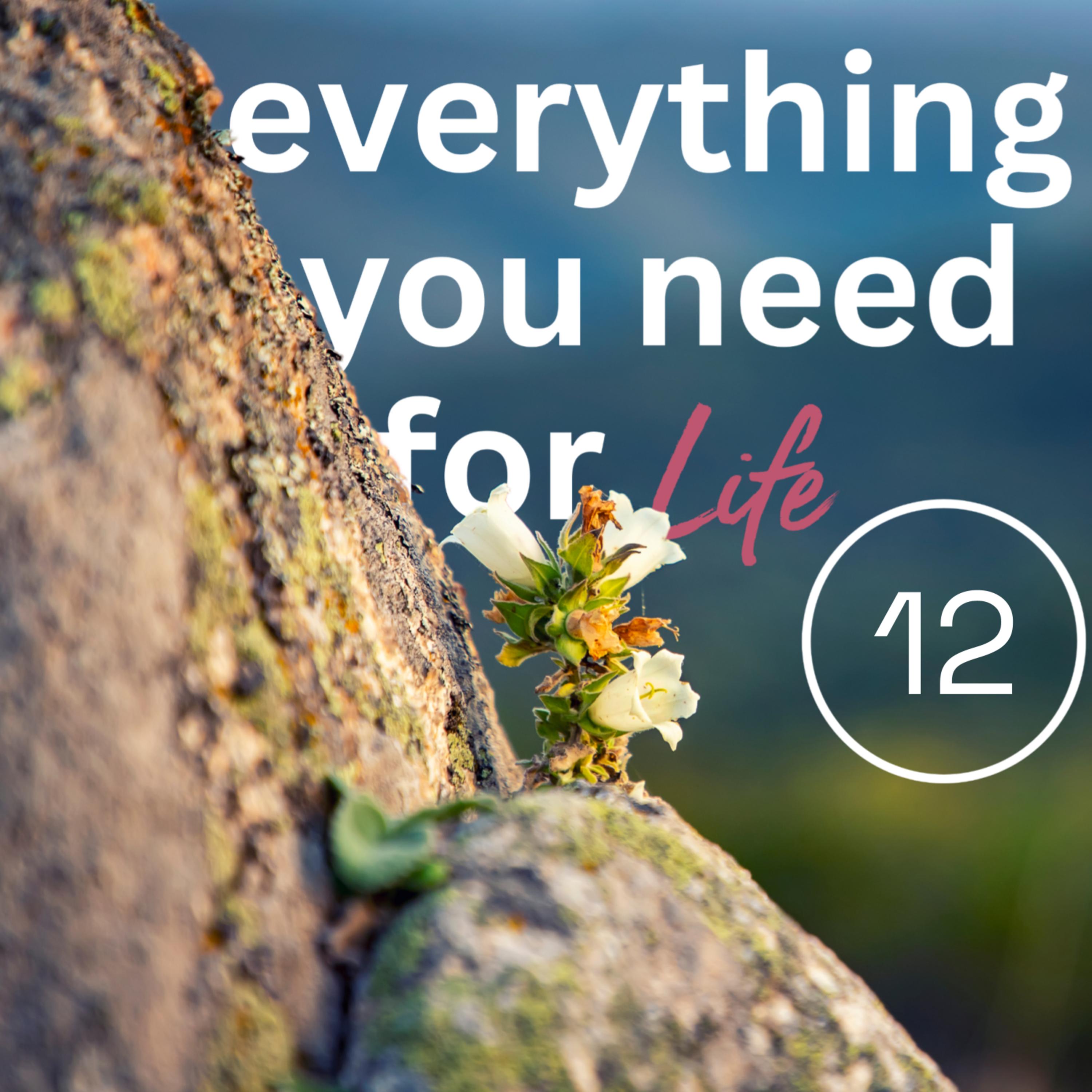 Everything You Need for Hope, Part 2
