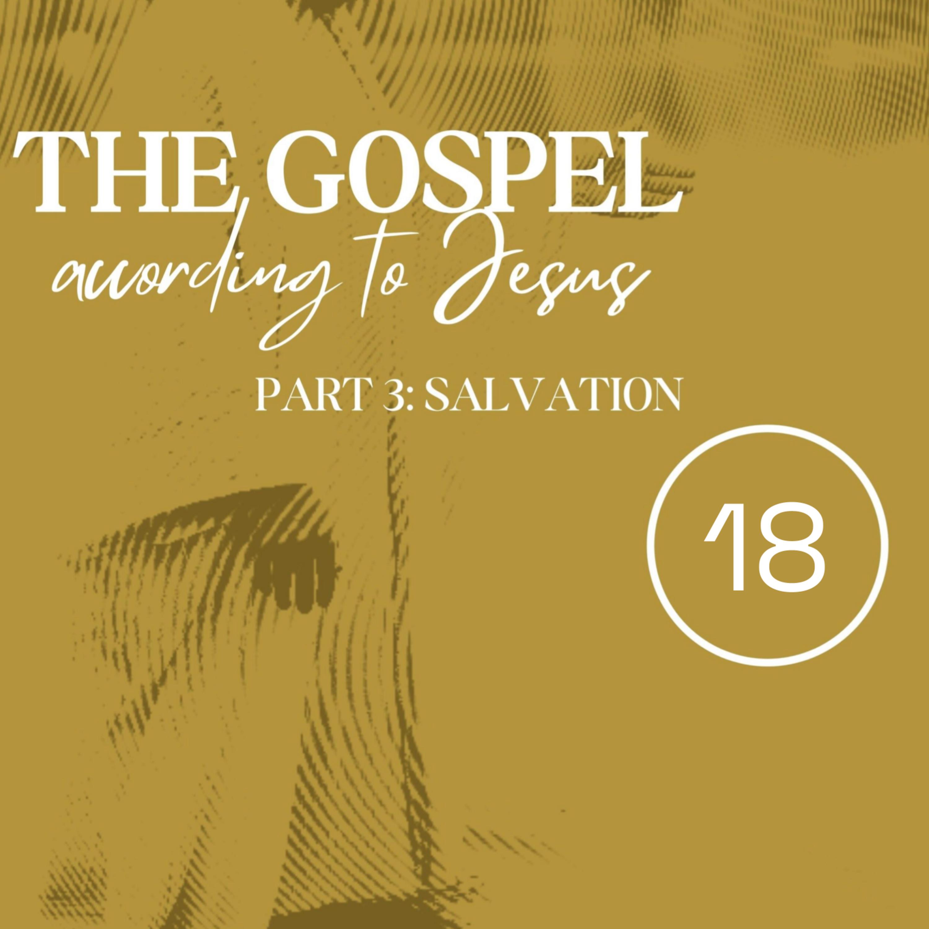 Jesus Answers All His People's Questions, Part 2 (The Gospel According to Jesus) episode artwork